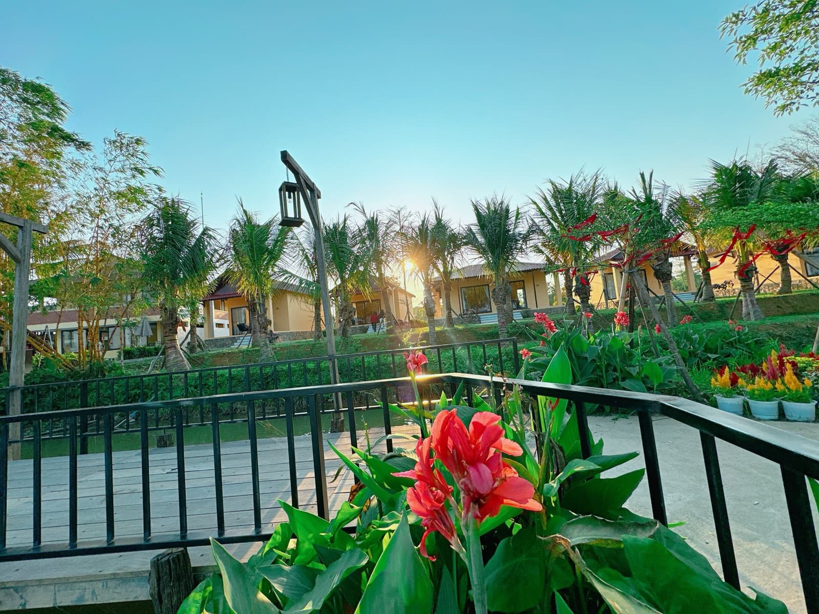 Hoàng hôn sau dãy villa — Lối cầu gỗ và khóm hoa chuối đỏ trong vườn