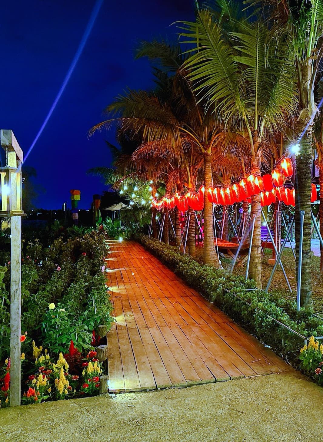 Lối cầu gỗ trong vườn lúc lên đèn — Đèn lồng đỏ dọc hàng dừa