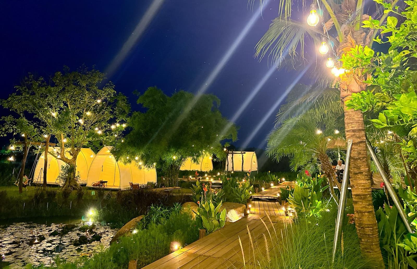 Lều glamping lên đèn bên hồ sen